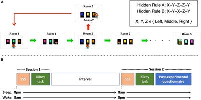 Sleep Facilitates Extraction of Temporal Regularities With Varying Timescales